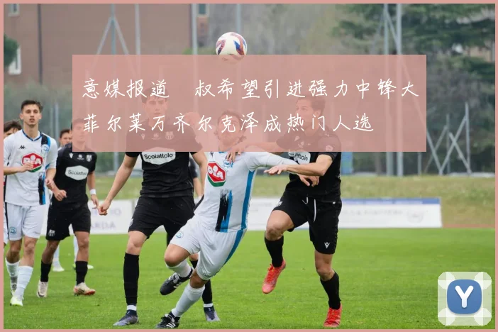 意媒报道囧叔希望引进强力中锋大菲尔莱万齐尔克泽成热门人选